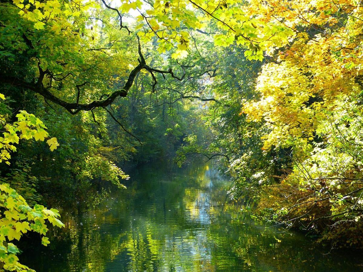 Villa Nina Orth an der Donau Bagian luar foto